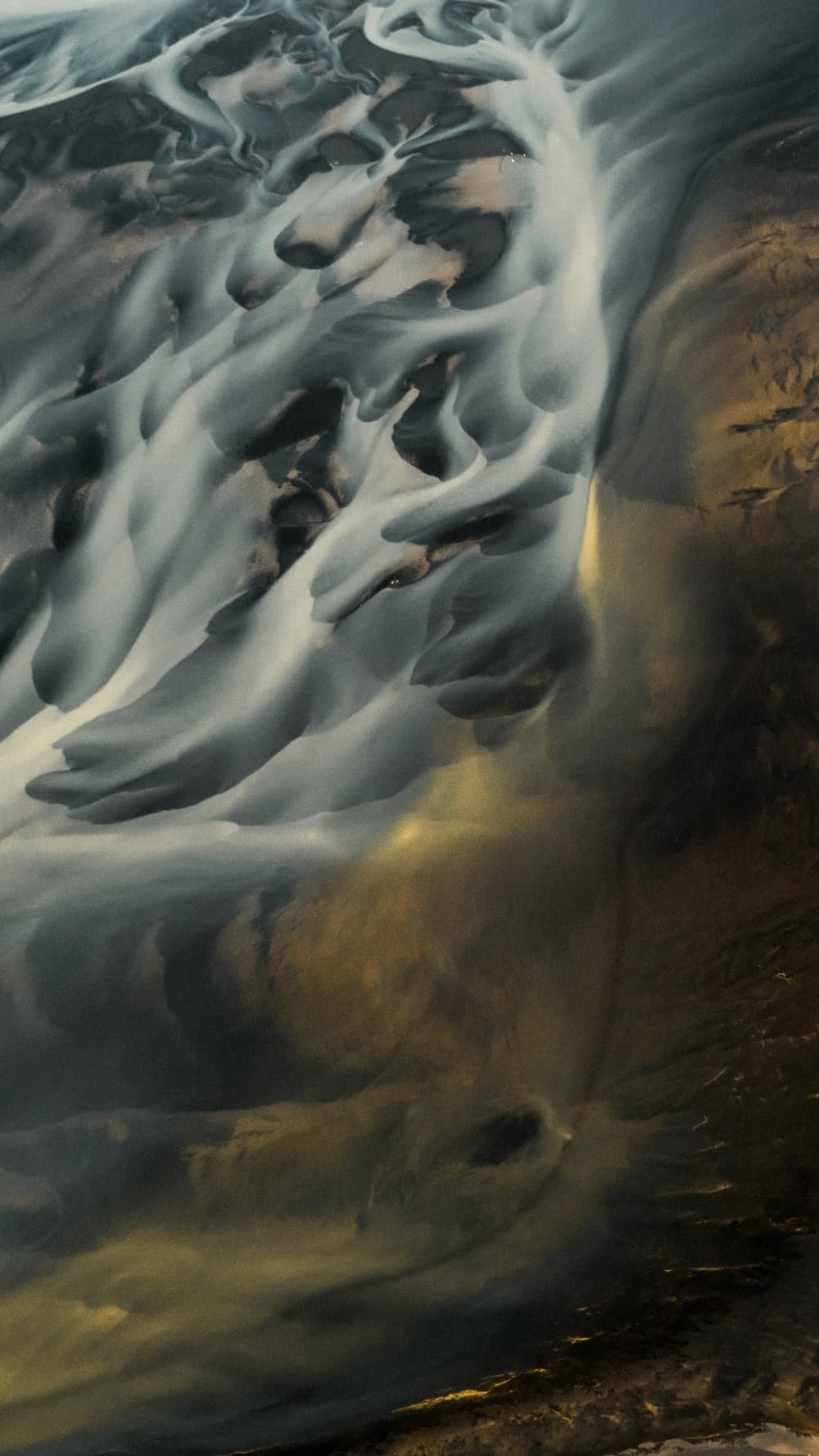 OD1Shots LLC — Photography vendor cover photo